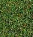 Busch 7116 - Grasflocken Großpack 100g  H0 1:87 / TT 1:120 / N 1:160 / Z 1:220