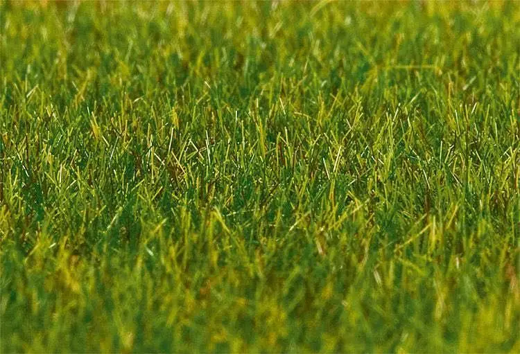 Faller 180485 - Premium Streufasern Gras, 30g H0 1:87