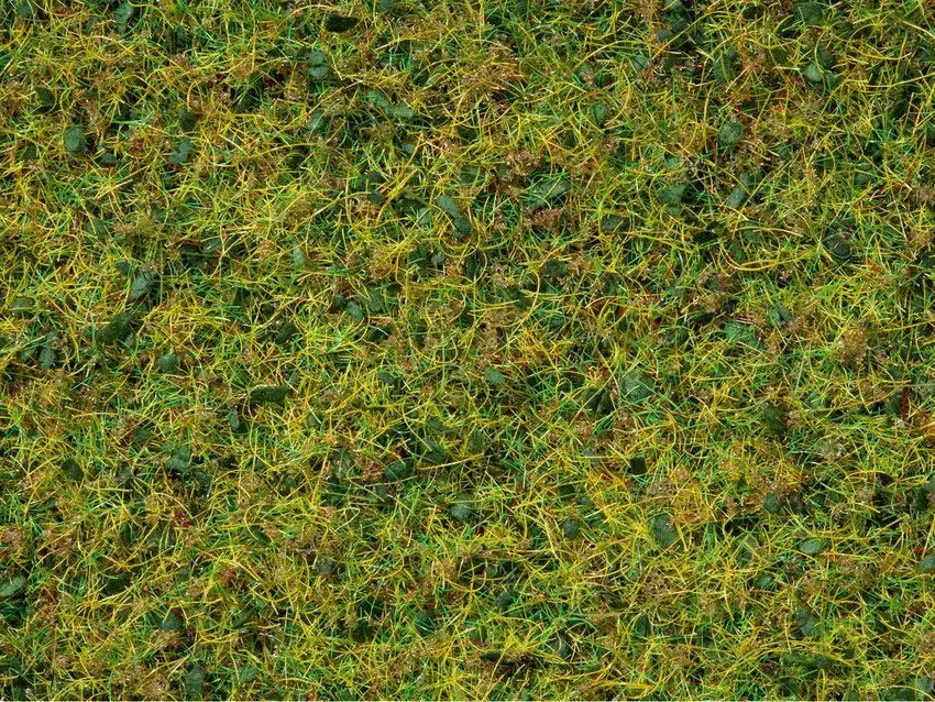Noch 07073 - Master-Grasmischung Kuhweide 2,5 bis 6 mm, 50 g G/0/H0/TT