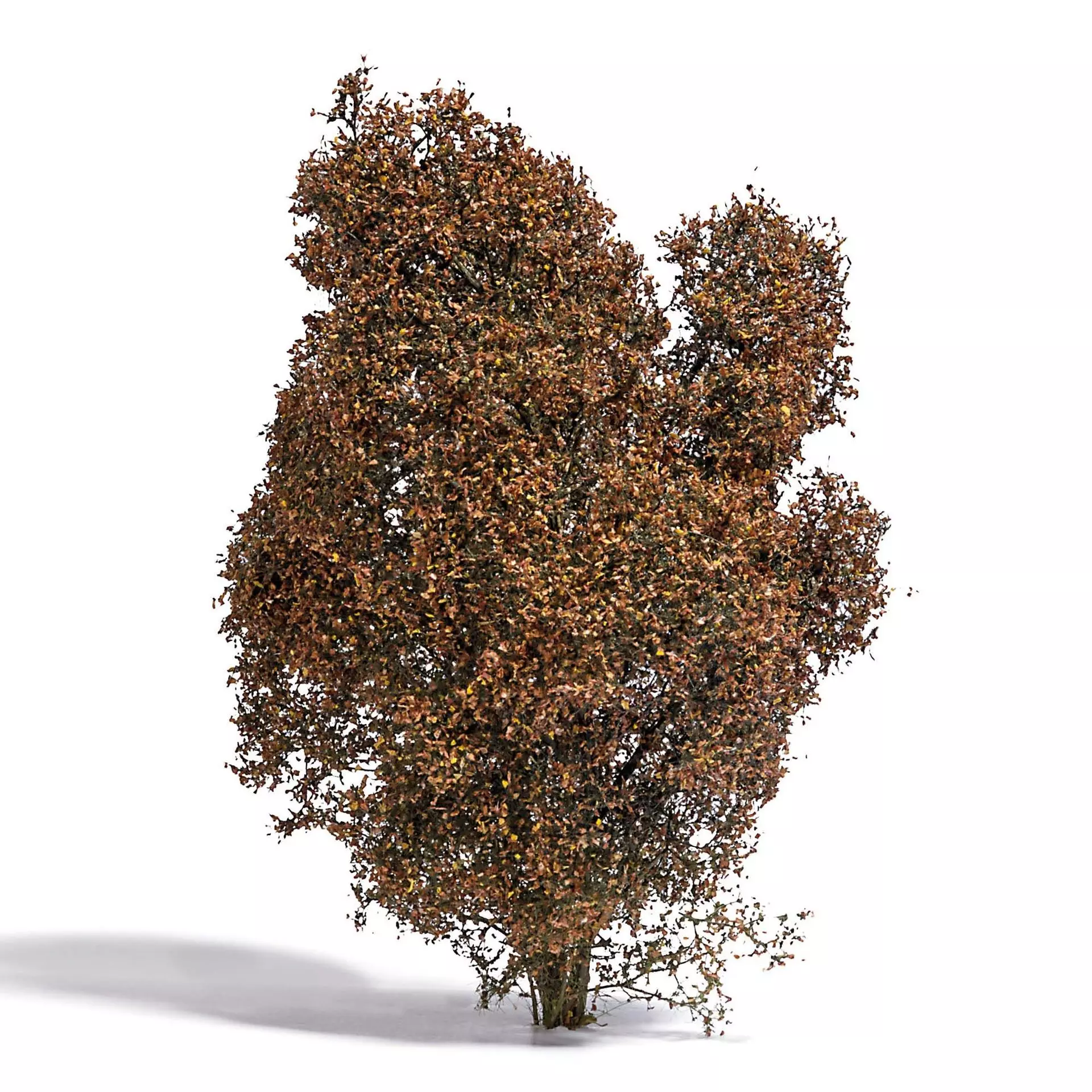 Busch 3590 - Filigranbusch Herbst H0 1:87