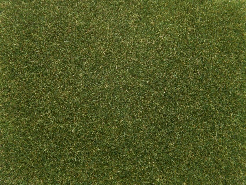 Noch 08364 - Streugras mittelgrün, 4 mm, 20g 0/H0/TT/N/Z Noch 08364 - Streugras mittelgrün, 4 mm, 20g 0/H0/TT/N/Z