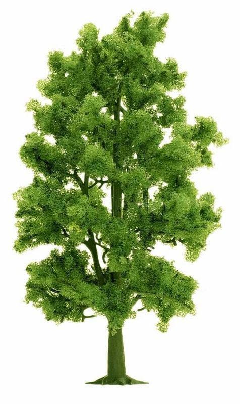 Busch 6779 - Buche 210 mm H0 1:87