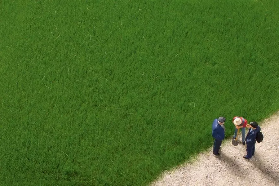 Auhagen 75615 - Grasfasern dunkelgrün 4,5 mm