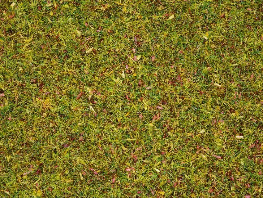 Noch 08330 - Streugras Blumenwiese 2,5 mm, 20 g G/1/0/H0/H0m/H0e/TT/N/Z