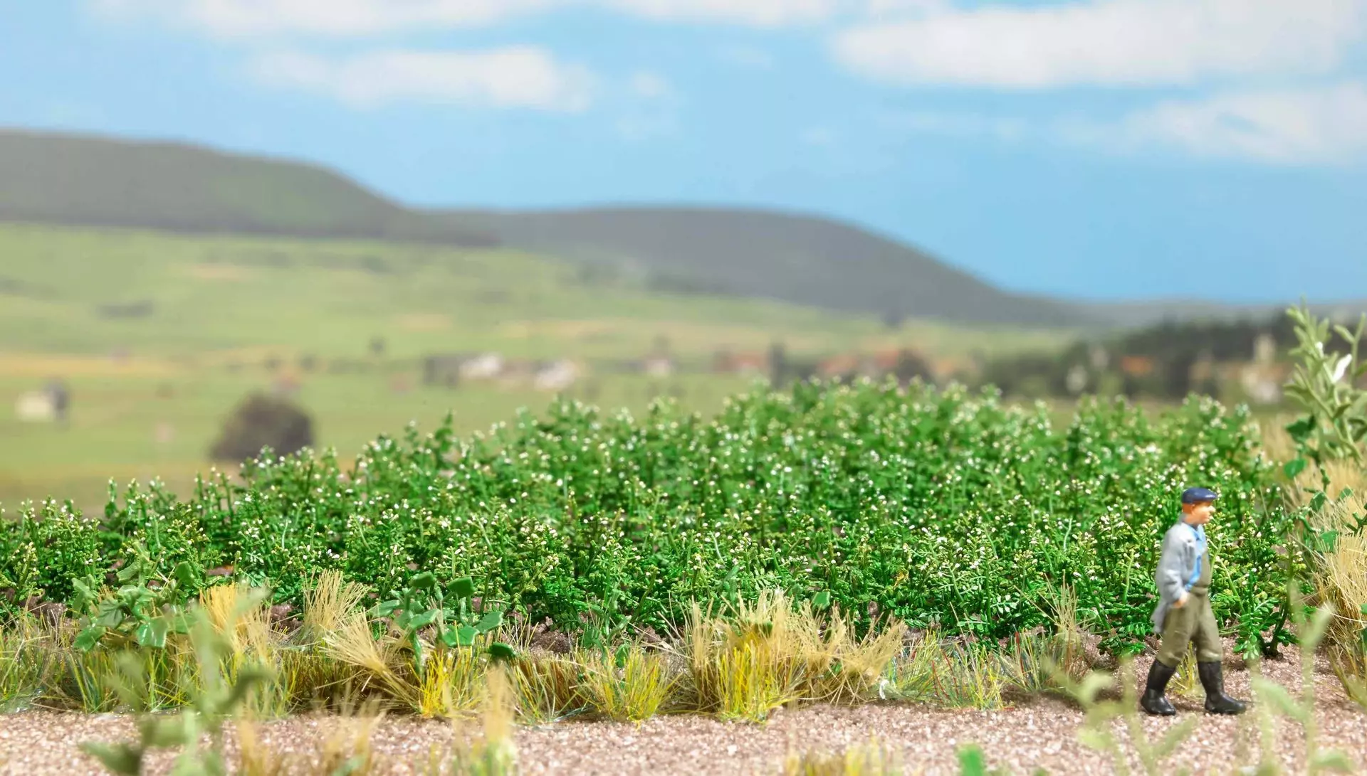 Busch 1266 - Kartoffelpflanzen H0 1:87