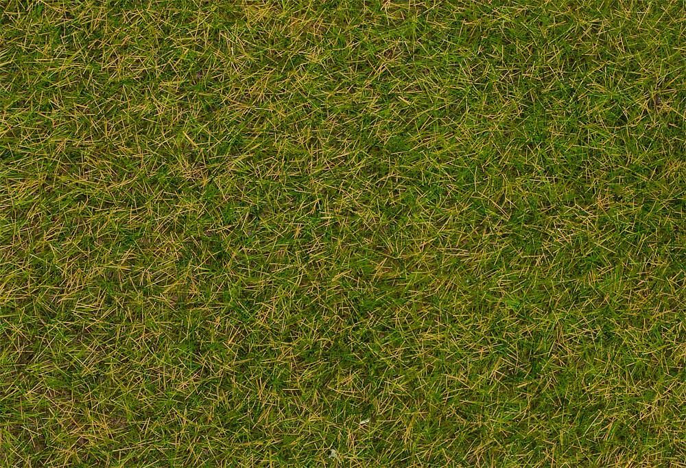 Faller 170256 - Streufasern Wildgras Frühsommer H0 1:87